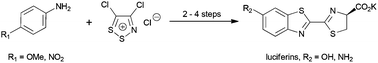 Graphical abstract: Rapid and scalable assembly of firefly luciferase substrates