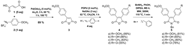 Graphical abstract: Fluorescence from bisaryl-substituted maleimide derivatives