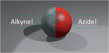 Graphical abstract: Janus nanoparticles with both faces selectively functionalized for click chemistry