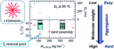 Graphical abstract: Thermoresponsive properties of 3-, 4-, 6-, and 12-armed star-shaped poly[2-(dimethylamino)ethyl methacrylate]s prepared by core-first group transfer polymerization