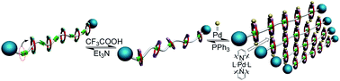 Graphical abstract: An acid/base switchable and reversibly cross-linkable polyrotaxane
