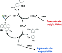 Graphical abstract: Photopolymerization of methyl methacrylate: effects of photochemical and photonic parameters on the chain length