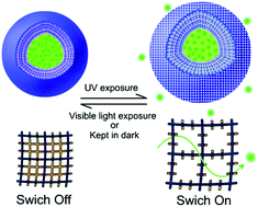 Graphical abstract: Switch on/off microcapsules for controllable photosensitive drug release in a ‘release-cease-recommence’ mode