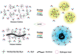 Graphical abstract: Unusual thermal phase transition behavior of an ionic liquid and poly(ionic liquid) in water with significantly different LCST and dynamic mechanism