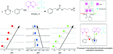 Graphical abstract: A base–conjugate-acid pair for living/controlled ring-opening polymerization of trimethylene carbonate through hydrogen-bonding bifunctional synergistic catalysis