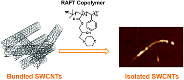 Graphical abstract: A tailored RAFT copolymer for the dispersion of single walled carbon nanotubes in aqueous media