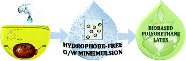 Graphical abstract: Hydrophobe-free miniemulsion polymerization: towards high solid content of fatty acid-based poly(urethane-urea) latexes