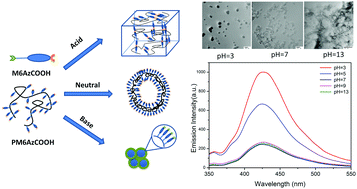 Graphical abstract: A carboxylic azo monomer and its homopolymer: synthesis, self-organization and fluorescence behaviour in solution