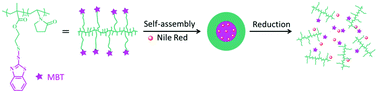 Graphical abstract: Chemical encoding of amphiphilic copolymers for a dual controlled release from their assemblies