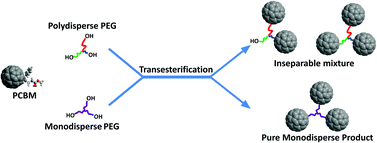 Graphical abstract: Synthesis and characterization of branched fullerene-terminated poly(ethylene glycol)s