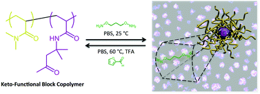 Graphical abstract: Oximes as reversible links in polymer chemistry: dynamic macromolecular stars