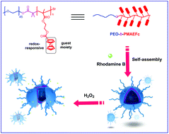 Graphical abstract: Self-assembly and disassembly of a redox-responsive ferrocene-containing amphiphilic block copolymer for controlled release