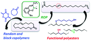 Graphical abstract: Ring-opening polymerization of ω-6-hexadecenlactone by a salicylaldiminato aluminum complex: a route to semicrystalline and functional poly(ester)s