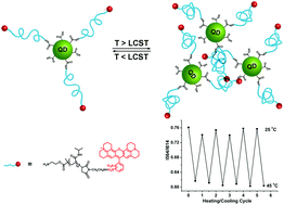 Graphical abstract: Thermoresponsive dual emission nanosensor based on quantum dots and dye labeled poly(N-isopropylacrylamide)