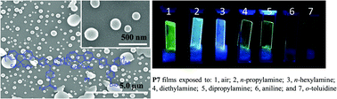 Graphical abstract: Reversible and “fingerprint” fluorescence differentiation of organic amine vapours using a single conjugated polymer probe