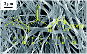 Graphical abstract: Effect of the position of the urea group in the hydrocarbon tail of fatty acid amphiphiles on the physical gelation of organic liquids