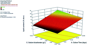 Graphical abstract: Application of response surface methodology for optimization of growth and lipids in Scenedesmus abundans using batch culture system
