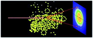 Graphical abstract: Mechanistic insights into operational lithium–sulfur batteries by in situ X-ray diffraction and absorption spectroscopy
