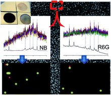 Graphical abstract: Electrochemically prepared nanoporous gold as a SERS substrate with high enhancement