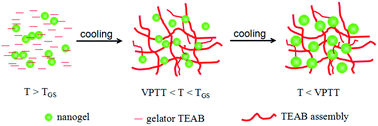 Graphical abstract: Reinforcement of phenylalanine-based supramolecular hydrogels by hybridizing poly(N-isopropylacrylamide) nanogels