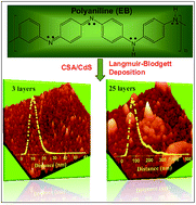 Graphical abstract: Dynamics of roughening and growth kinetics of CdS–polyaniline thin films synthesized by the Langmuir–Blodgett technique