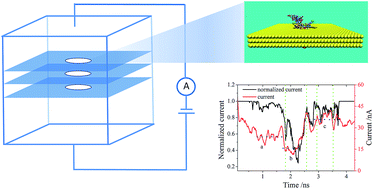 Graphical abstract: Theoretical studies on the dynamics of DNA fragment translocation through multilayer graphene nanopores