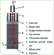 Graphical abstract: An advanced anaerobic expanded granular sludge bed (AnaEG) for the treatment of coal gasification wastewater