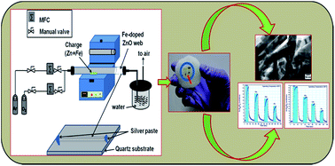 Graphical abstract: Probing luminescent Fe-doped ZnO nanowires for high-performance oxygen gas sensing application