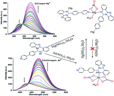 Graphical abstract: Pyridylphenyl appended imidazoquinazoline based ratiometric fluorescence “turn on” chemosensor for Hg2+ and Al3+ in aqueous media