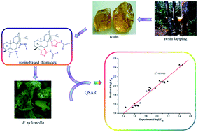 Graphical abstract: Synthesis and quantitative structure–activity relationship (QSAR) studies of novel rosin-based diamide insecticides