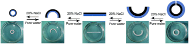 Graphical abstract: High strength nanocomposite hydrogel bilayer with bidirectional bending and shape switching behaviors for soft actuators