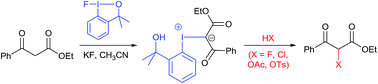 Graphical abstract: Preparation of iodonium ylides: probing the fluorination of 1,3-dicarbonyl compounds with a fluoroiodane