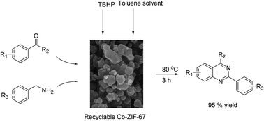 Graphical abstract: Expanding applications of zeolite imidazolate frameworks in catalysis: synthesis of quinazolines using ZIF-67 as an efficient heterogeneous catalyst