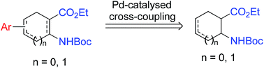 Graphical abstract: An insight into the synthesis of novel aryl-substituted alicyclic β-amino acid derivatives through substrate-directed palladium-catalysed regio- and stereoselective cross-coupling