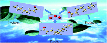 Graphical abstract: Ozonolysis of a series of C7–C9 unsaturated biogenic aldehydes: reactivity study at atmospheric pressure
