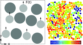 Graphical abstract: (Ir)reversibility in dense granular systems driven by oscillating forces