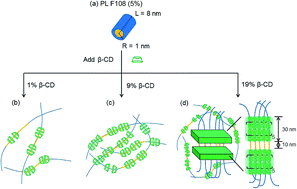 Graphical abstract: Fine structures of self-assembled beta-cyclodextrin/Pluronic in dilute and dense systems: a small angle X-ray scattering study