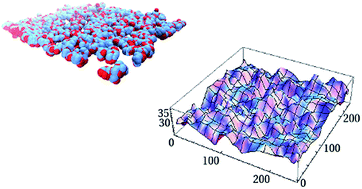 Graphical abstract: Evidence of random copolymer adsorption at fluctuating selective interfaces from Monte-Carlo simulation studies