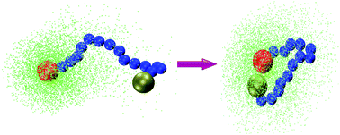 Graphical abstract: Ring closure dynamics for a chemically active polymer