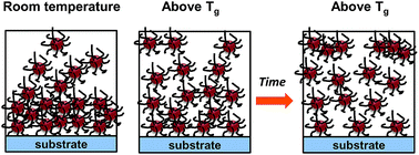 Graphical abstract: Kinetics of dispersion of nanoparticles in thin polymer films at high temperature