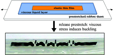 Graphical abstract: Wrinkling and folding of thin films by viscous stress