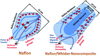 Graphical abstract: Cellulose nanowhiskers to regulate the microstructure of perfluorosulfonate ionomers for high-performance fuel cells