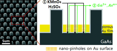 Graphical abstract: In-plane and out-of-plane mass transport during metal-assisted chemical etching of GaAs