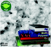 Graphical abstract: Efficient inverted quasi-bilayer organic solar cells fabricated by using non-halogenated solvent processes