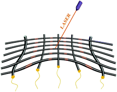Graphical abstract: Series of in-fiber graphene supercapacitors for flexible wearable devices