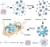 Graphical abstract: Amorphous carbon dots with high two-photon fluorescence for cellular imaging passivated by hyperbranched poly(amino amine)