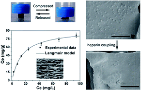 Graphical abstract: Highly flexible heparin-modified chitosan/graphene oxide hybrid hydrogel as a super bilirubin adsorbent with excellent hemocompatibility