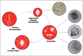Graphical abstract: Nanostructured magnetic nanocomposites as MRI contrast agents