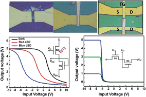 Graphical abstract: Top and back gate molybdenum disulfide transistors coupled for logic and photo-inverter operation
