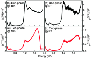 Graphical abstract: The effect of phase morphology on the nature of long-lived charges in semiconductor polymer:fullerene systems